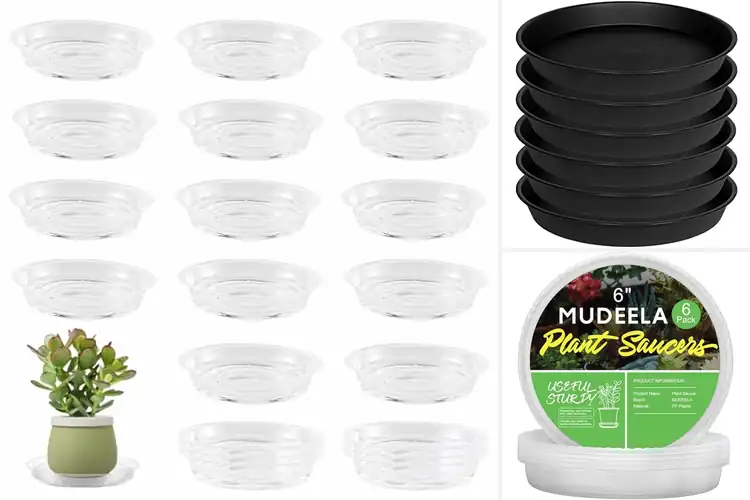Detailed view of Best 6 Inch Plant Saucers: Top 10 Picks for Floor Protection