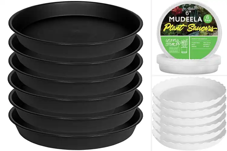 Detailed view of Best 6 Pack Plant Saucers Bundle