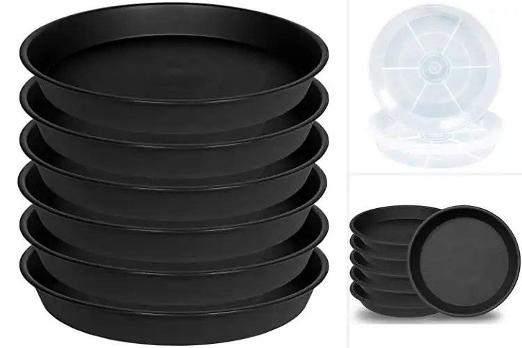 Detailed view of Best 6 Pack Plant Saucers