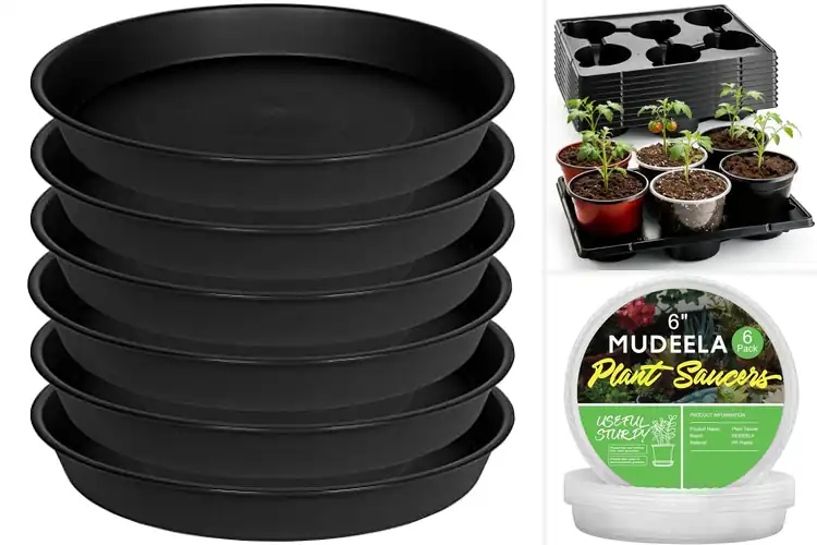 Detailed view of Best 6 Pack Plant Trays 6 Inch