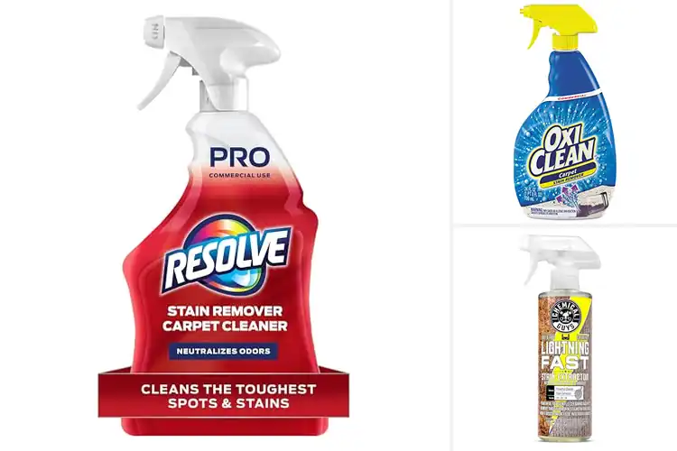 Detailed view of Best Carpet Stain Removers