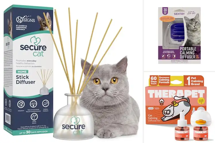 Detailed view of Best Cat Behavior Correction Diffuser