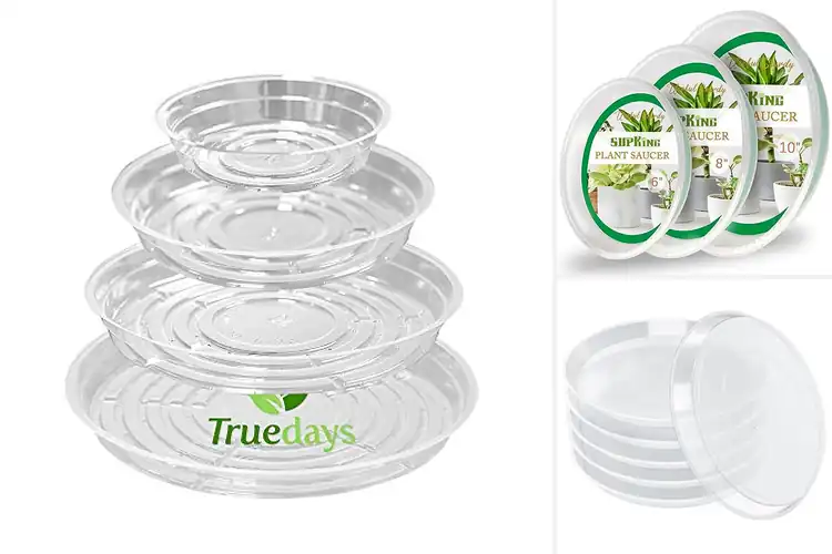 Detailed view of Best Clear Plant Saucers