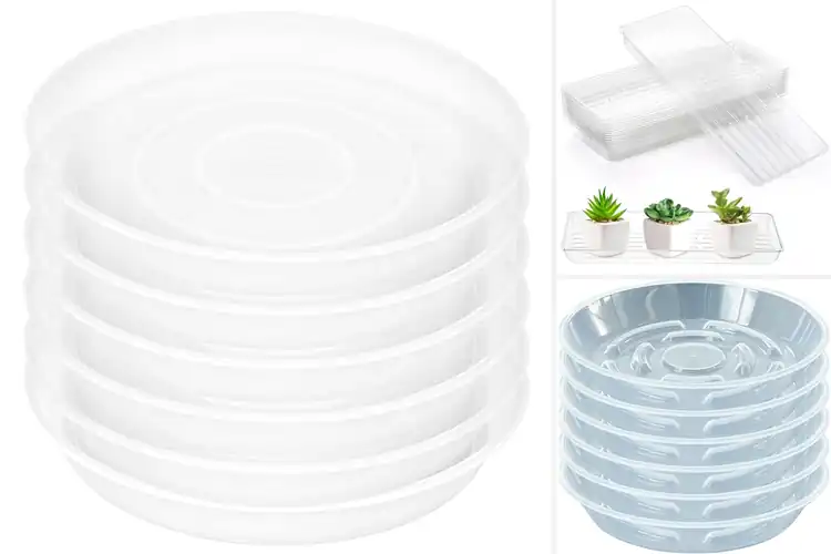 Detailed view of Best Clear Plastic Plant Tray Material