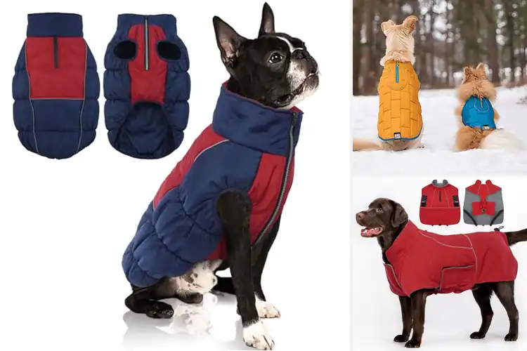 Detailed view of Best Dog Coats For Hiking: Top Picks for Warmth & Comfort