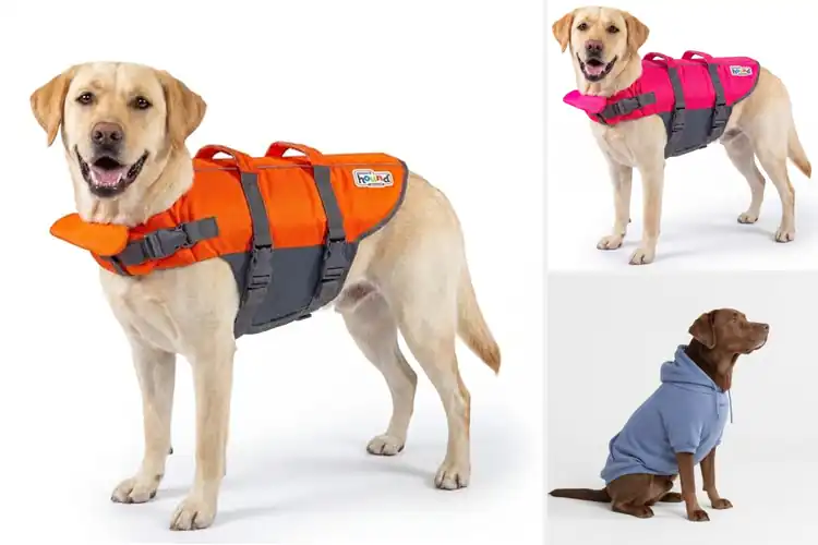 Detailed view of Best Dog Jackets For Large Breeds