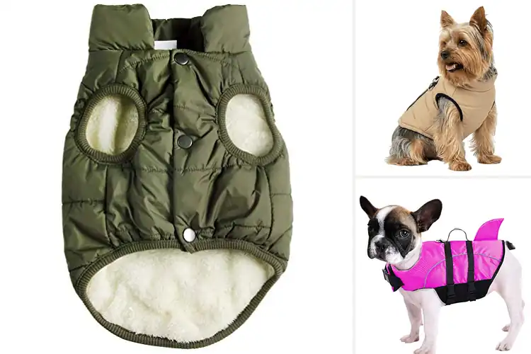 Detailed view of Best Dog Jackets For Small Breeds: Top 10 Cozy Picks