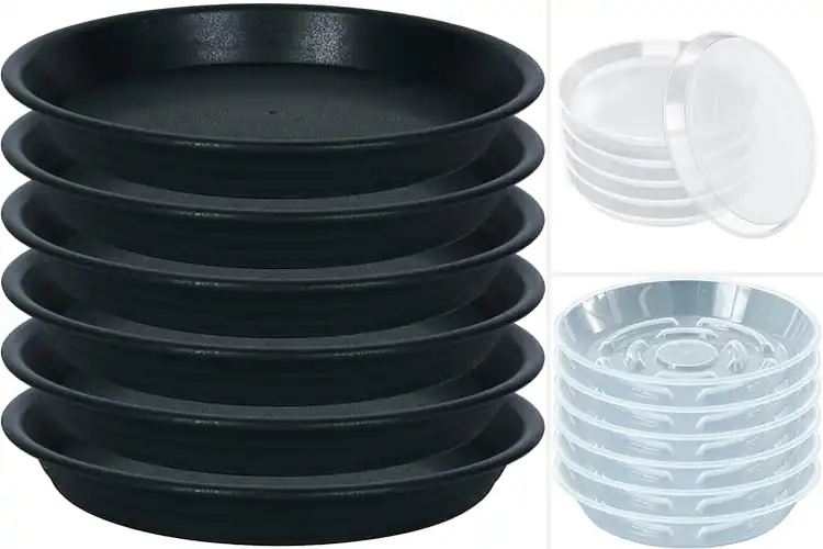 Detailed view of Best Durable Plant Plates