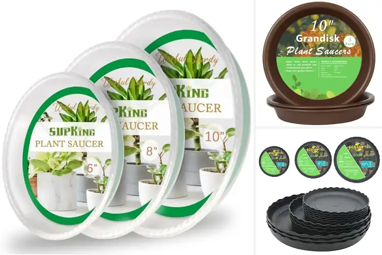 Detailed view of Best Durable Plant Saucers