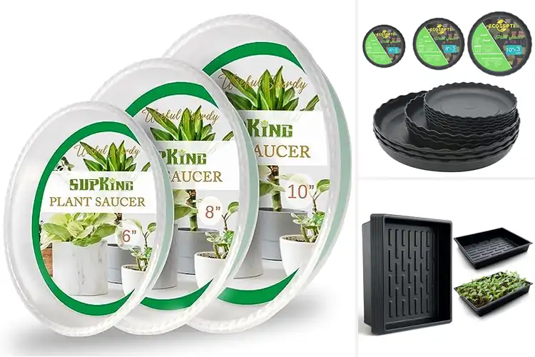 Detailed view of Best Durable Plant Tray