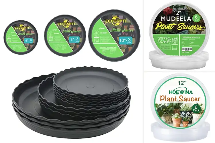 Detailed view of Best Durable Plastic Plant Trays