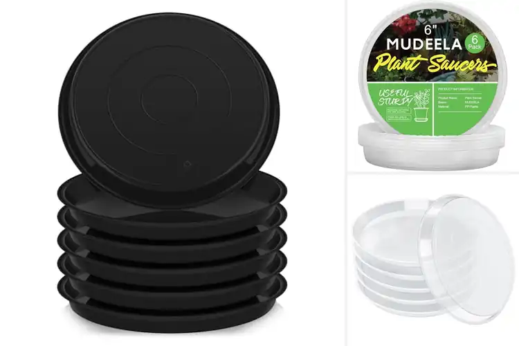 Detailed view of Best Durable Plastic Saucers