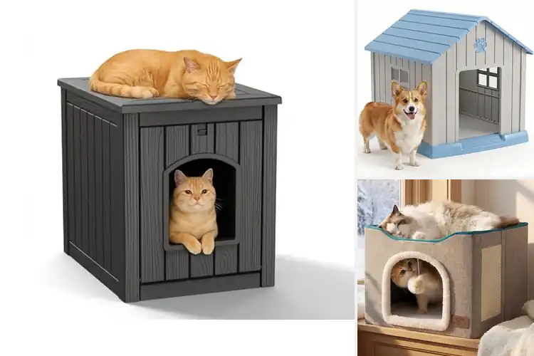 Detailed view of Best Easy Clean Small Pet House
