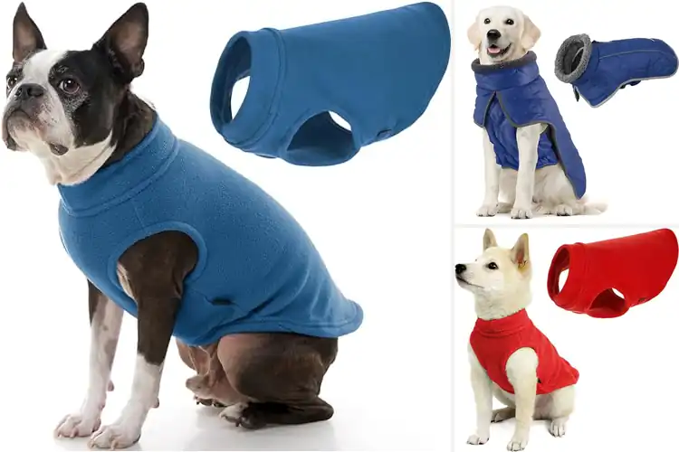 Detailed view of Best Fleece Dog Jackets: 10 Cozy Picks for Warmth & Style