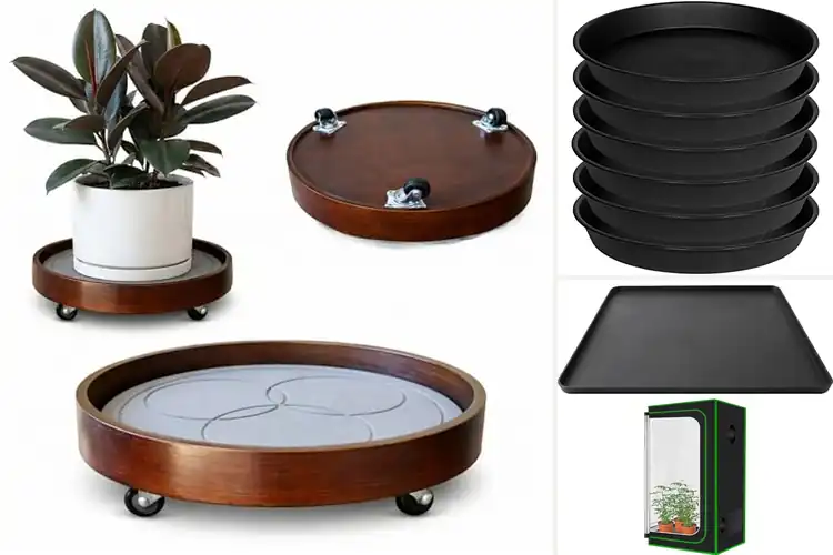 Detailed view of Best Floor Protection Plant Trays