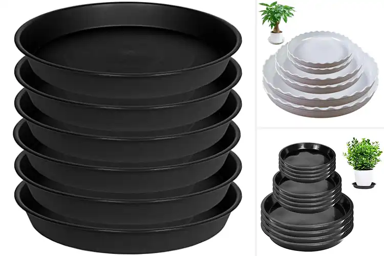 Detailed view of Best Flower Pot Plates: 10 Top Picks for a Tidy Home