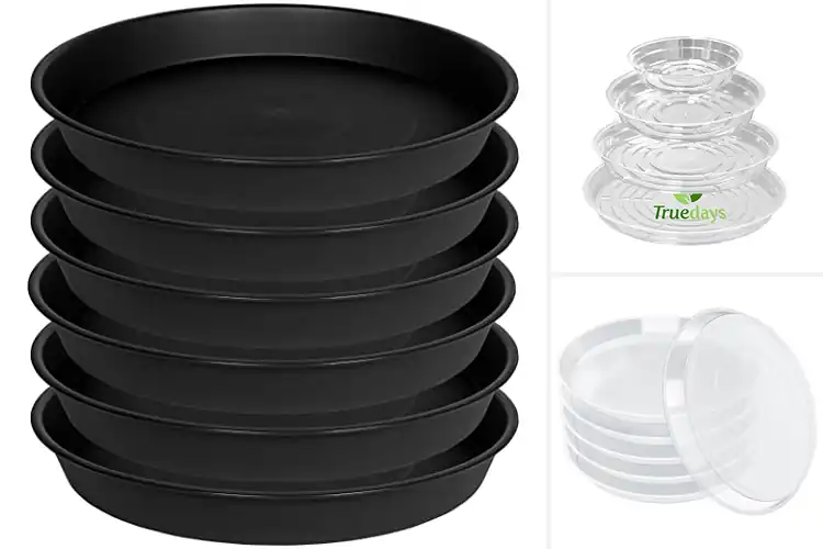 Detailed view of Best Flower Pot Saucers