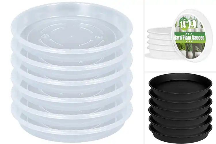 Detailed view of Best Heavy-Duty Plant Saucers