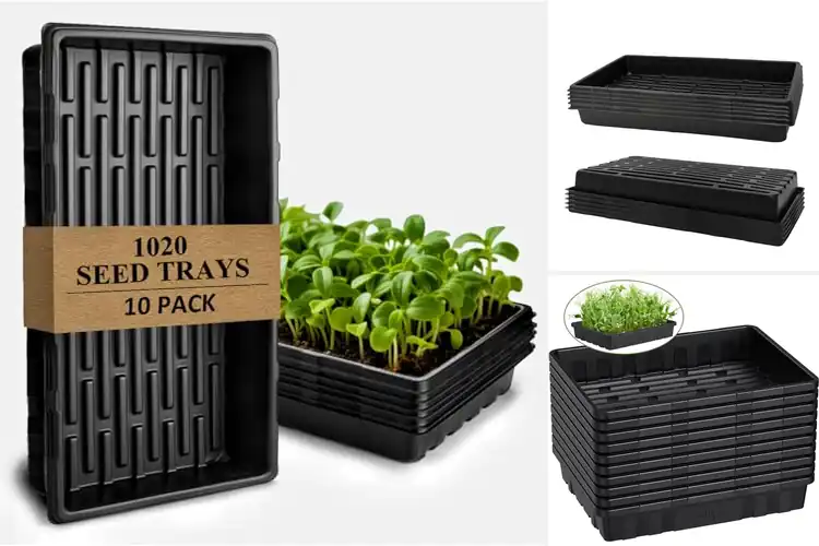Detailed view of Best Heavy Duty Plant Trays