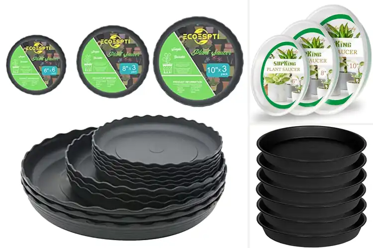 Detailed view of Best Indoor Plant Drainage Trays