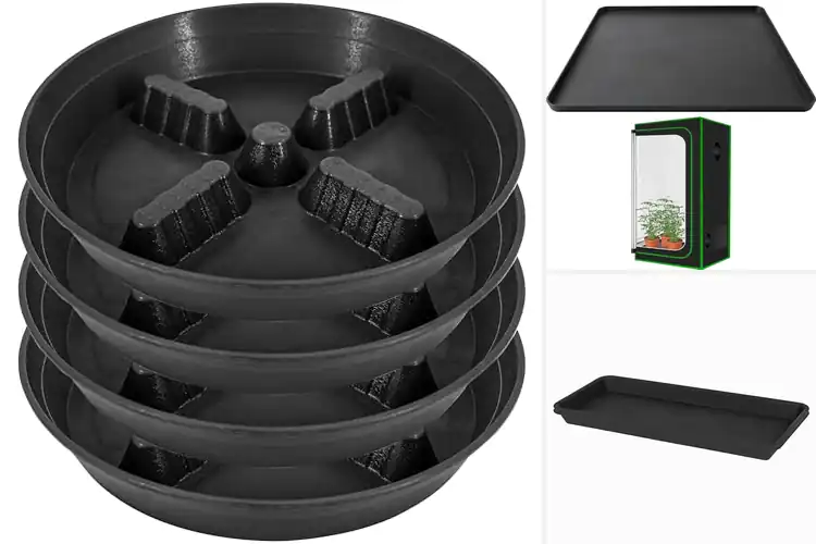 Detailed view of Best Indoor Plant Tray With Raised Edge