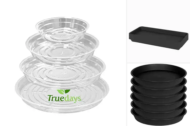 Detailed view of Best Indoor Plant Trays