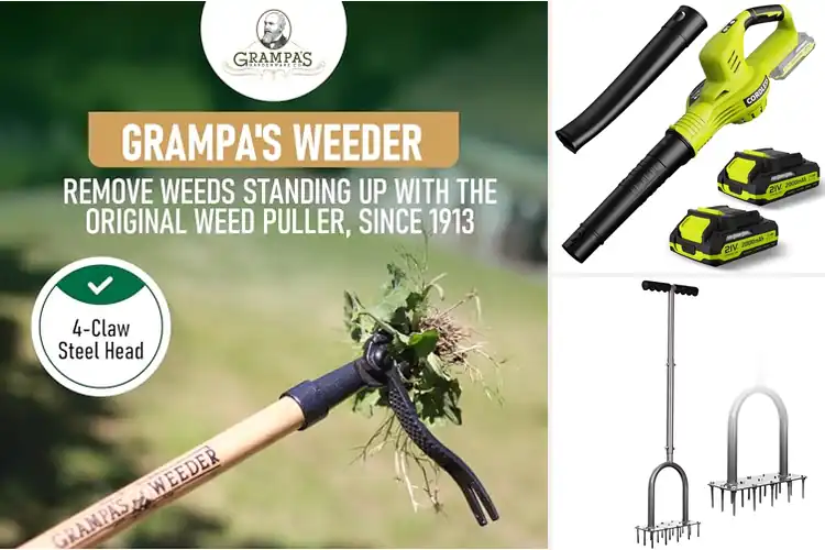 Detailed view of Best Lawn Care Tools
