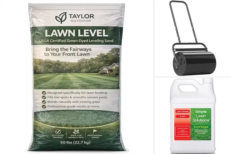 Detailed view of Best Lawn Smoothing For Freshly Sowed Lawns