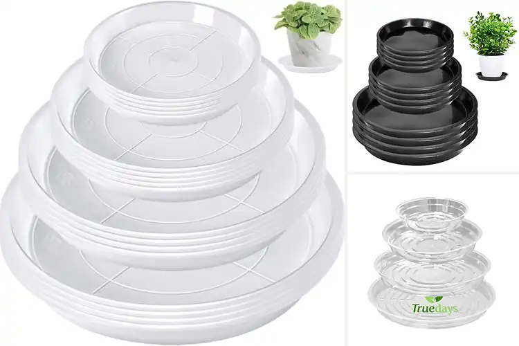 Detailed view of Best Multi-Pack Plant Saucers