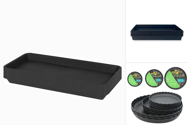 Detailed view of Best Multi-Use Plant Trays