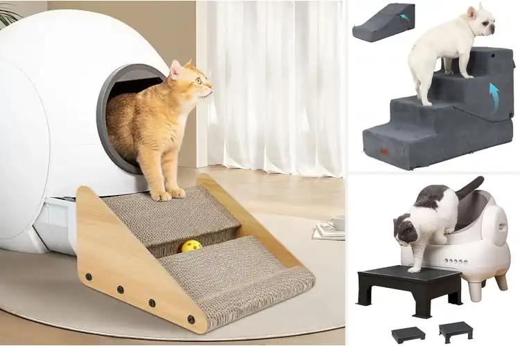 Detailed view of Best Pet Ramps For Kittens: Safe & Fun Climbing Solutions