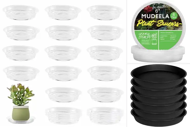 Detailed view of Best Plant Saucer 6 Inch: Top Picks for Style & Durability