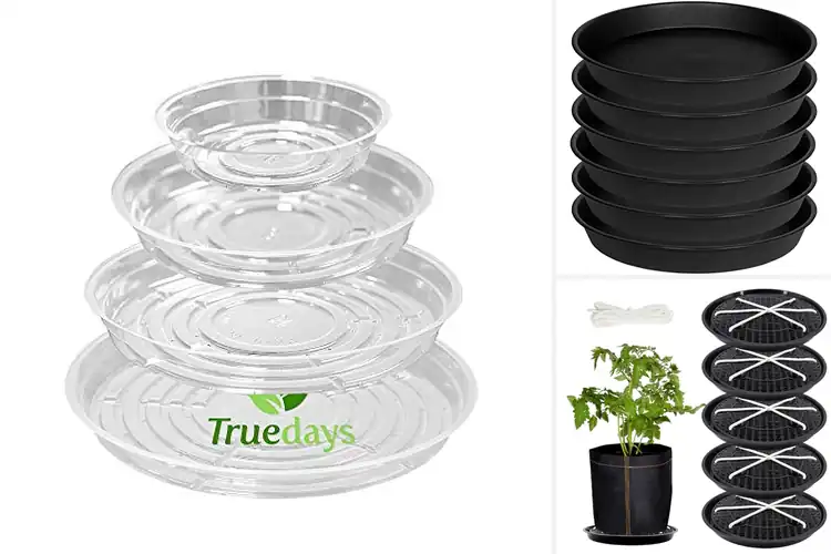 Detailed view of Best Plant Saucers: Protect Floors & Boost Plant Health