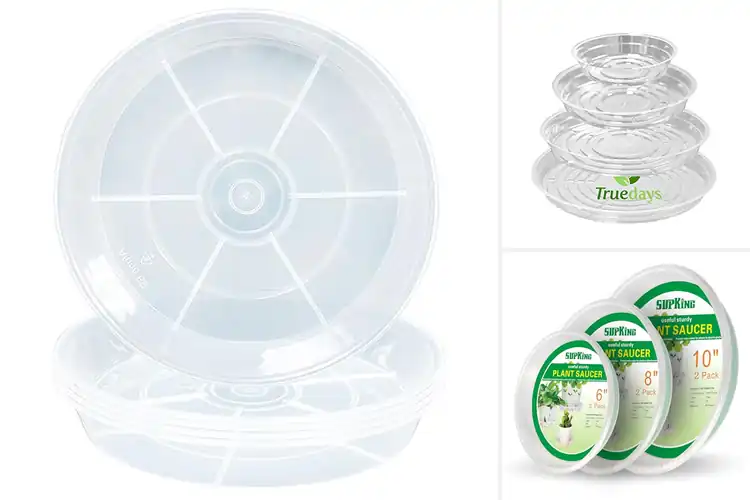 Detailed view of Best Plastic Plant Dishes