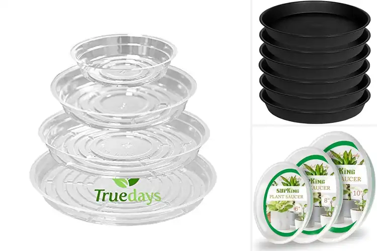Detailed view of Best Plastic Plant Saucers