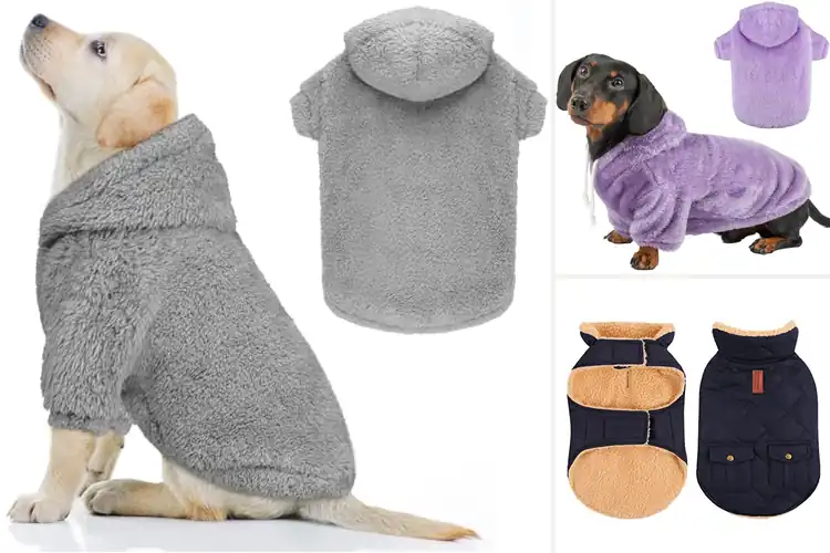 Detailed view of Best Plush Dog Jackets: 10 Cozy & Stylish Picks for Your Pup