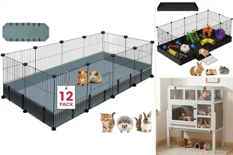 Detailed view of Best Small Animal Cages For Guinea Pigs