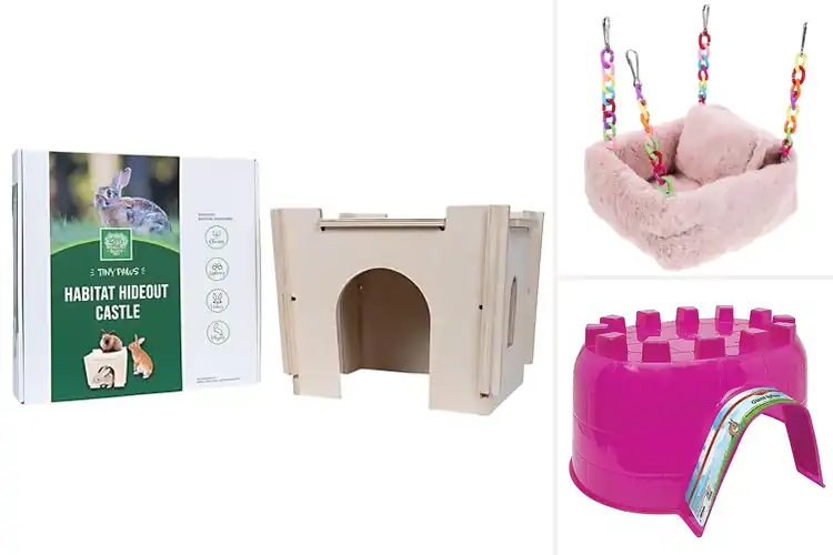 Detailed view of Best Small Pet Hideouts 5.5X5.2X4.7