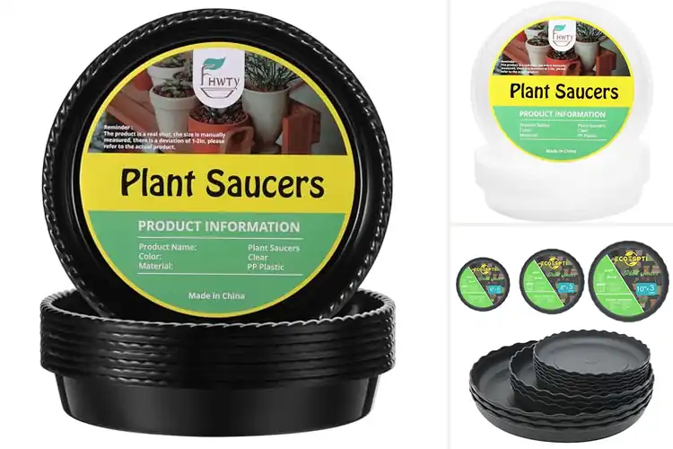 Detailed view of Best Sturdier Plant Saucers