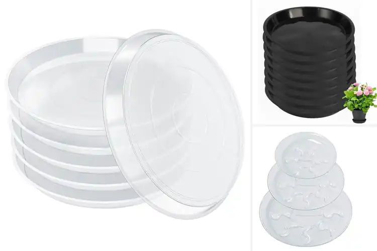 Detailed view of Best Sturdy Saucers: Healthy Plants, Clean Home