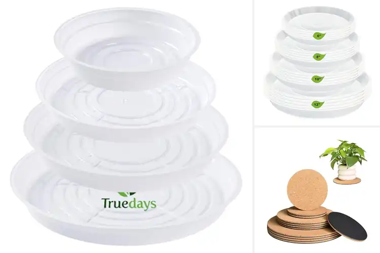 Detailed view of Best Surface-Protecting Plant Trays