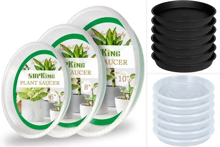 Detailed view of Best Thick Plant Saucers