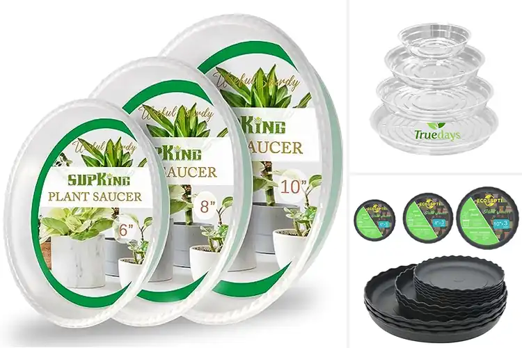 Detailed view of Best Thick Plastic Plant Saucer