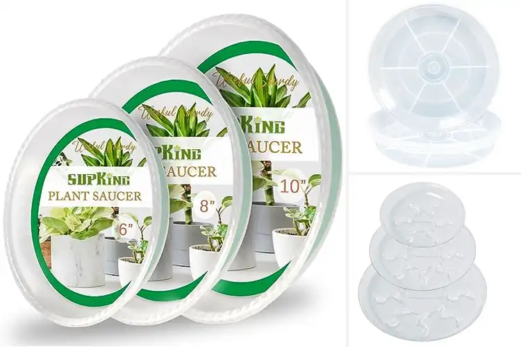 Detailed view of Best Thick Plastic Plant Saucers For Heavy Pots