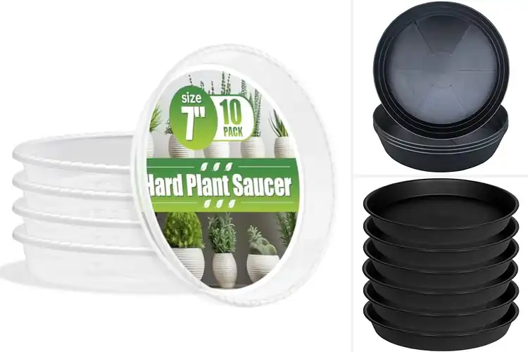 Detailed view of Best Thickened Plant Saucers