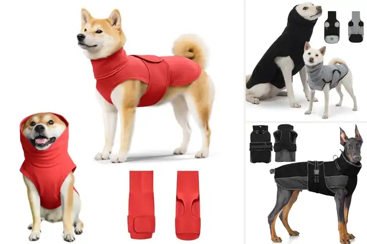 Detailed view of Best Turtleneck Dog Jackets