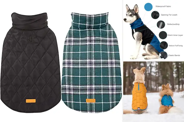 Detailed view of Best Water‑Resistant Dog Coats