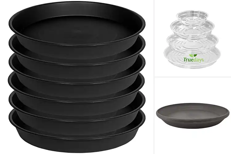 Detailed view of Best Water Tray For Indoor Plants