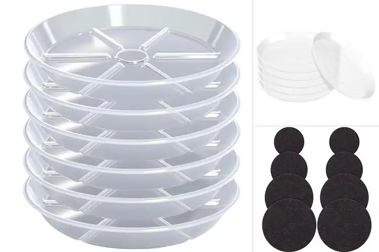 Detailed view of Best Waterproof Plant Dishes