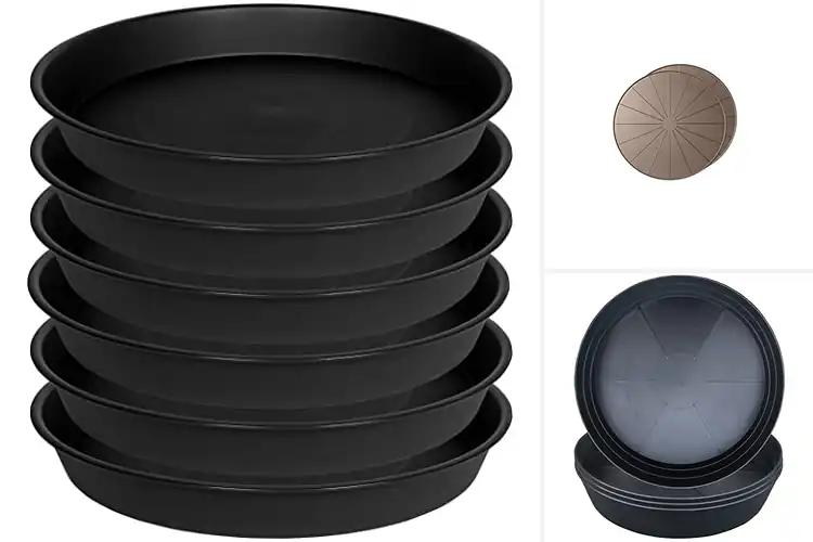 Detailed view of Best Waterproof Plant Saucers For Floor Protection
